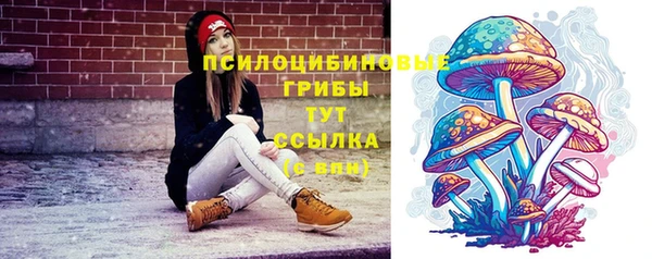 герыч Коряжма