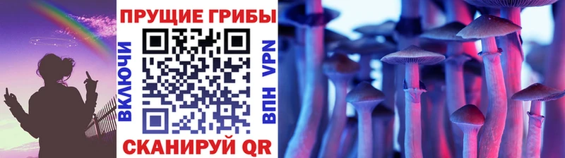 Купить  Данков  Псилоцибиновые грибы прущие грибы 